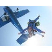 Stan Gansekoele's photo