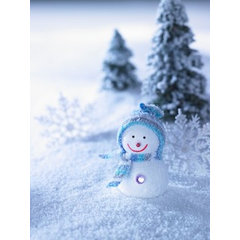 NEGIN