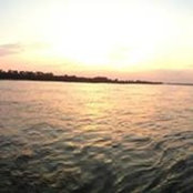 Tamara June's photo