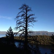 Susie Wiseman's photo
