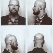 Nikolai Loveikis's photo