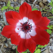 Katelyn Lee's photo