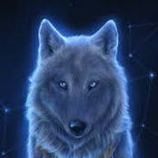 wolf king 321s foto