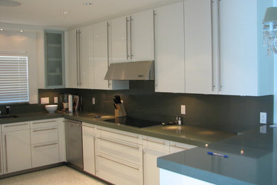 Trendy kitchen photo in Miami
