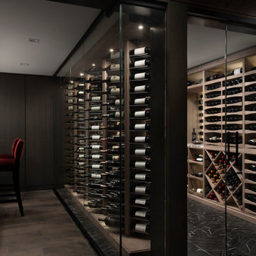 Luxe Modern Cellar In Illionois