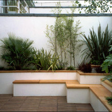 plantes