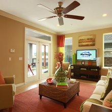 Living Room Ideas