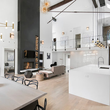 Contemporary Living Room