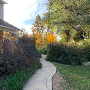 California Craftsman Forest - 5 Years Later