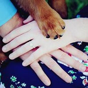 Stephanie Reller's photo