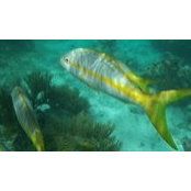 Cindy Schewe's photo