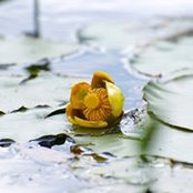 Photo de Christine Hall