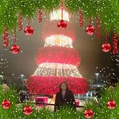 Meeta Agarwal's photo