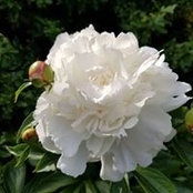 Michelle Stapleton's photo