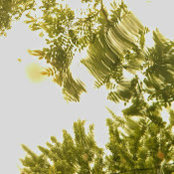Jason Siegel's photo