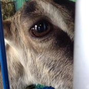 Julie Roberts's photo