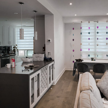 Sheers & Zebra Shade