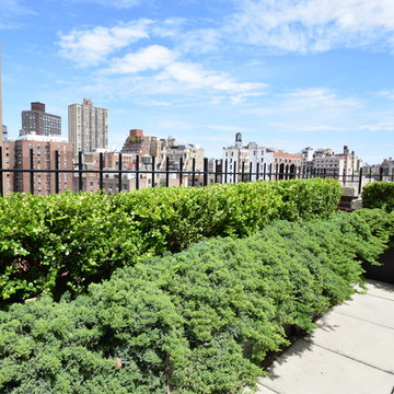 Manhattan Penthouse Garden