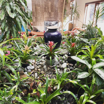 Indoor Tropical Garden