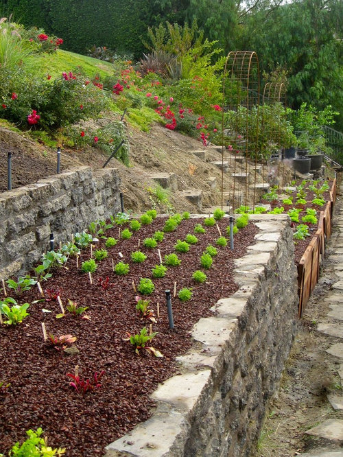 Garden Retaining Wall Houzz