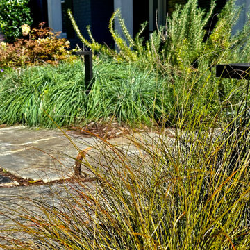 Concrete Sidewalk Becomes A Stroll Garden