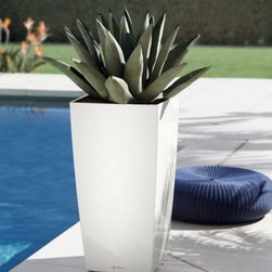 Cubico Premium 50 - Products