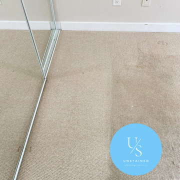 Carpet Cleaning Project X