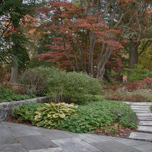 Midcentury Garden