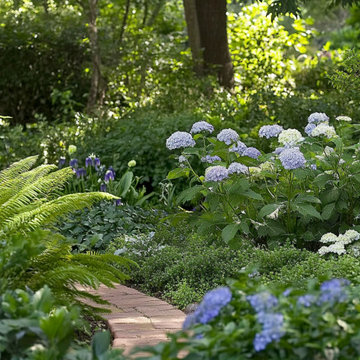 Shade Garden Path
