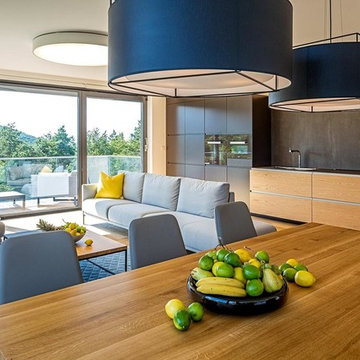 LARGE APARTMENT, VILLA VISTA, BRATISLAVA, SLOVAKIA