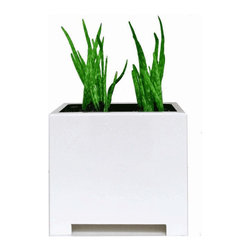 Alora Cube Planter - Products