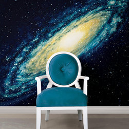 National Geographic Murals - Wall Decals