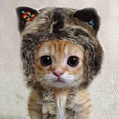 Wendy Wang's photo