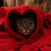 Foto von Dottie Cameron