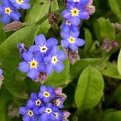 Sue Collier's photo