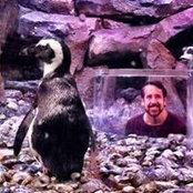 Foto de Greg Averill
