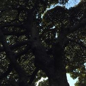 Yuki Chong's photo