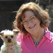 Amy Austin's photo