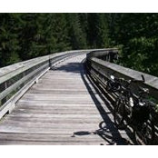 Lewis Chuba's photo