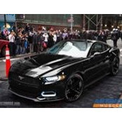 Matt Winthal's photo