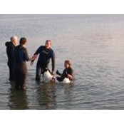 Fiona Robertson's photo
