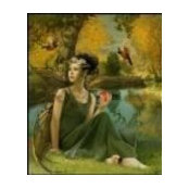 Patrice Herard's photo