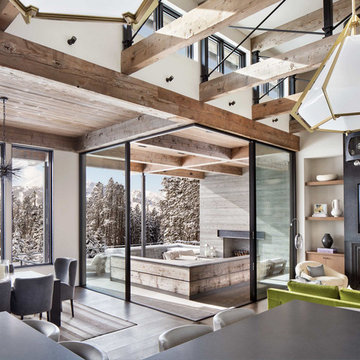 Modern Ski Home