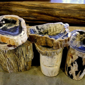 Petrified Wood Sinks