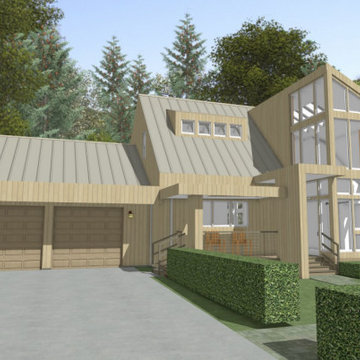 Home Remodel / Modernization - front - after