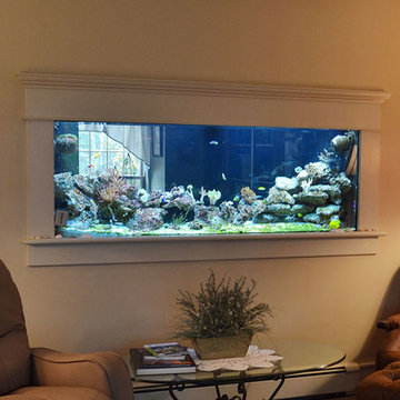 Aquariums