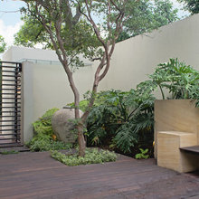 Deck Y Jardín