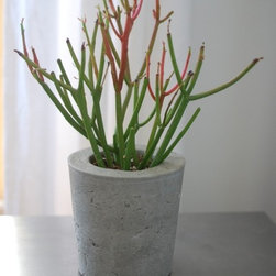 Handmade Concrete Planters - Home Decor