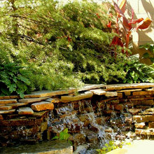Water Features