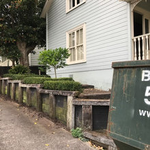 old cox st garden